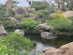 -罗红摄影艺术馆