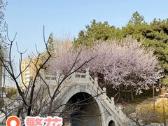 -团结湖公园
