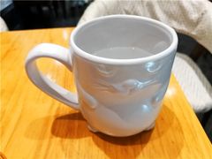 -猫色咖啡·猫咖