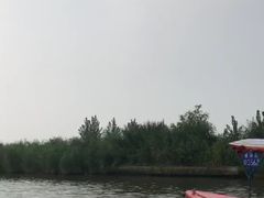 -白洋淀景区