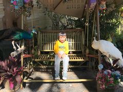 -西双版纳融创皇冠假日度假酒店