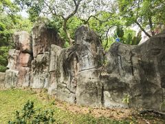 -深圳国际园林花卉博览园