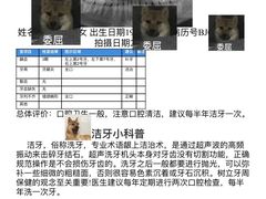 -瑞尔齿科(颐堤港诊所)