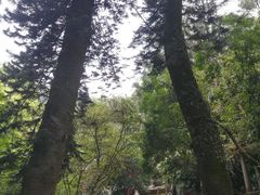 -飞霞风景名胜区