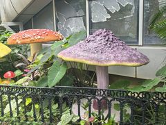 -正佳雨林生态植物园
