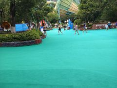 -苏州乐园森林水世界