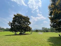-中国科学院西双版纳热带植物园