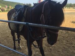 -威海华夏城景区