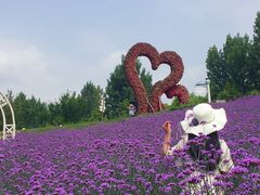 -紫颐香薰山谷景区