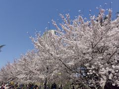 -万宝海鲜舫(劳动公园店)