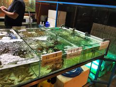 -国际金钻海鲜餐厅