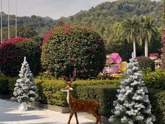 -东南花都花博园