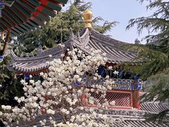 -西安市广仁寺