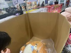 -山姆会员商店(亦庄创意生活广场店)