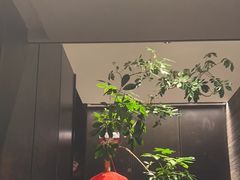 -胡大饭馆 24h(簋街总店)