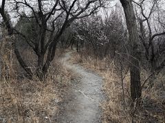 -北京西山国家森林公园