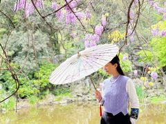 -郑和公园