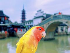 -千灯古镇