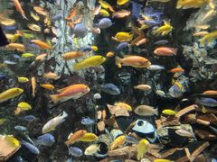 -太平洋海底世界