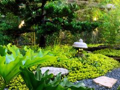 景观位-山壹竹庭院餐厅