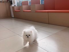 -美迦爱-牙专科·兔科·骨科诊疗中心(北苑店)
