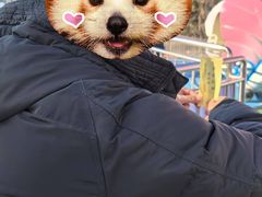 -朝阳公园游乐园