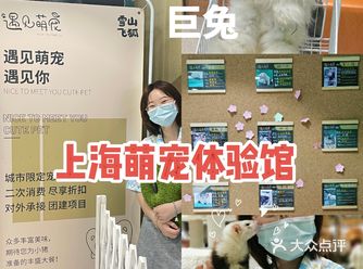 上海探店|上头！吸吸小浣熊体验馆
