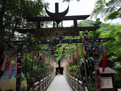 -西双版纳原始森林公园
