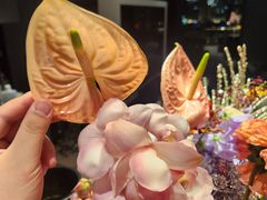 -私人做法(苹果社区店)