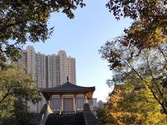 -唐城墙遗址公园