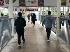 -珠海拱北口岸