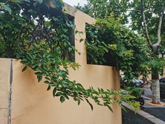 -颐和路民国时期公馆风貌区