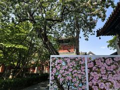 -皇家御河游(紫御湾码头)