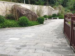 -天鹿湖森林公园