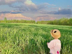 -秦岭风景区