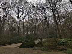 -灵谷景区