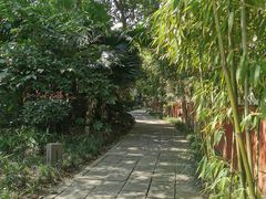 -望江楼公园