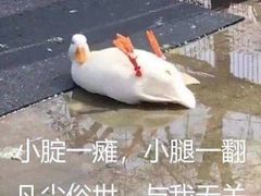 -CoCo壱番屋(久光百货店)