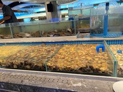 水产区-一方渔歌蒸汽海鲜自助(文化路万达广场店)