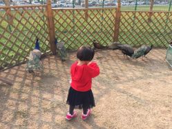 -萌宠亲子动物乐园(槐房万达店)