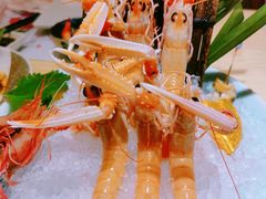 海鳌虾-清水日本料理铁板烧(学府路店)