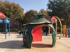 -大兴滨河森林公园