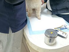 -关爱动物医院·心脏·中兽医·异宠(金牛路分院)