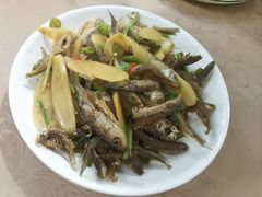 -遇龙河大樟树农家乐