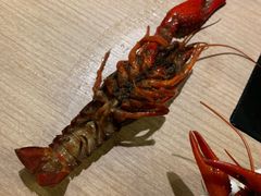-星伦多 自助料理(圆融店)