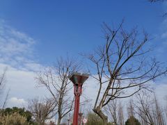 -眉山湿地公园(东坡区)