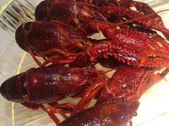 -红盔甲·小龙虾(天钥桥店)