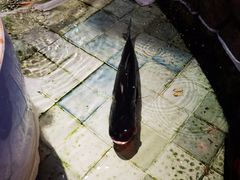 -一桶江山餐厅(松北店)