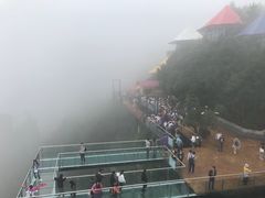 -梦幻奥陶纪景区