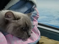 -零纪元VR体验馆·桌游(黄浦店)